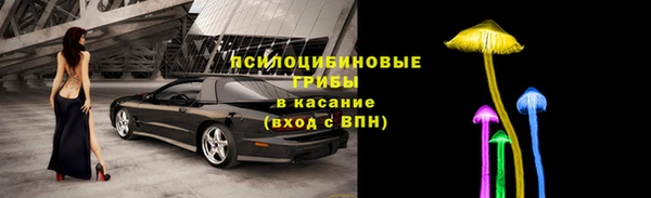 гидропоника Михайловка