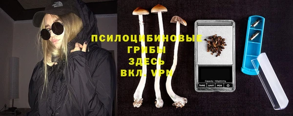 эйфоретик Михайлов