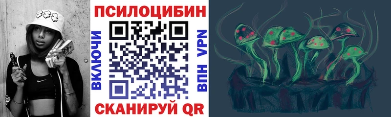 Купить Мамадыш Псилоцибиновые грибы GOLDEN TEACHER