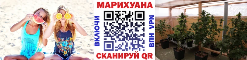 Купить закладки  Мамадыш  Канабис ГИДРОПОН 